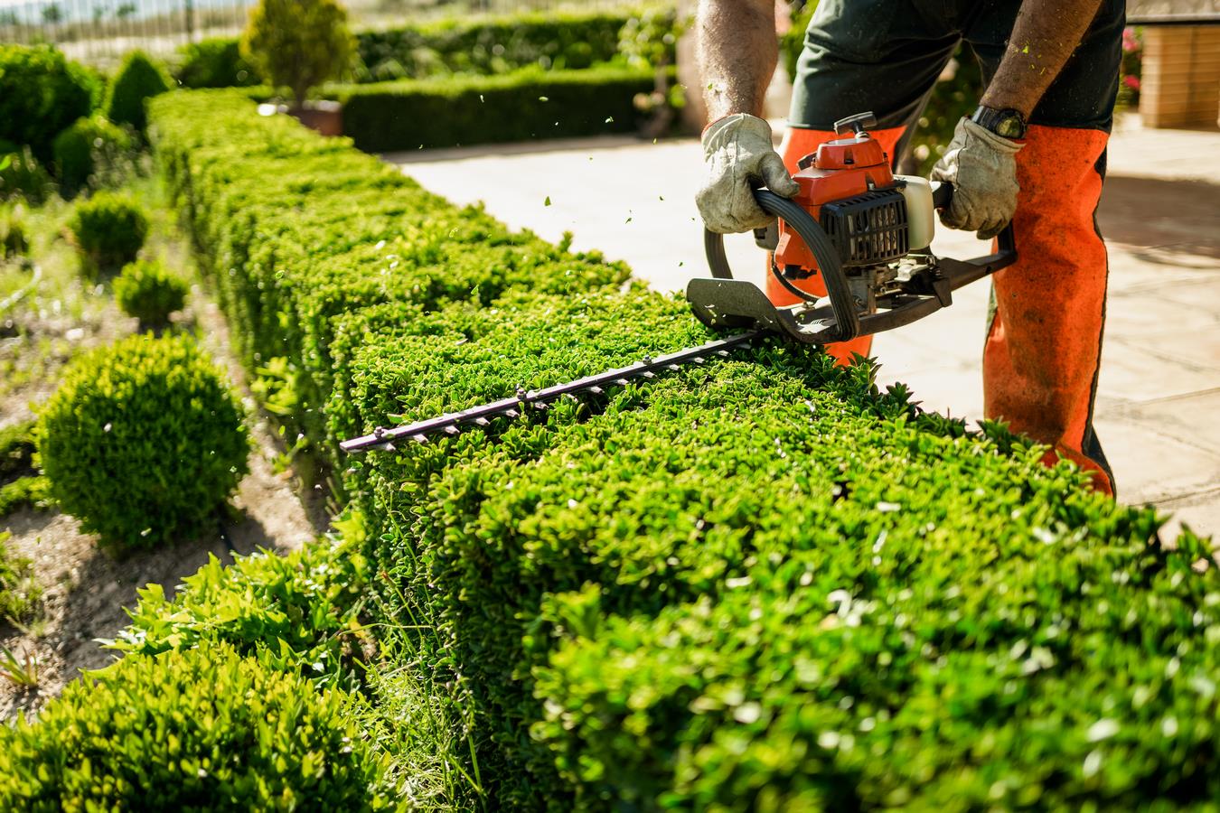 Entretien de jardins et espaces verts à Reims